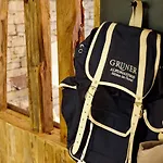 Alpengasthof Gruener, In & Out Hotel