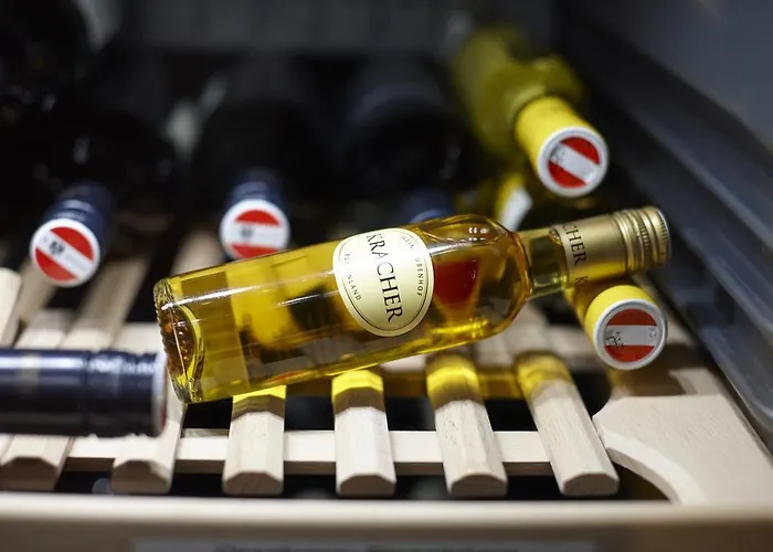 Otel Alpengasthof Gruener, In & Out 4*