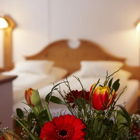 Hotel Alpengasthof Gruener 4*